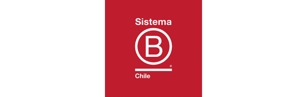 Grupo Educativo: la premiada empresa B chilena que busca mejorar el aprendizaje en la educación pública