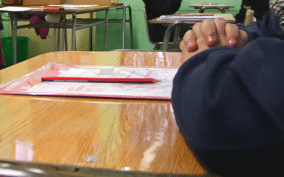 Paulina Araneda frente al Simce “No estamos frente a una crisis”