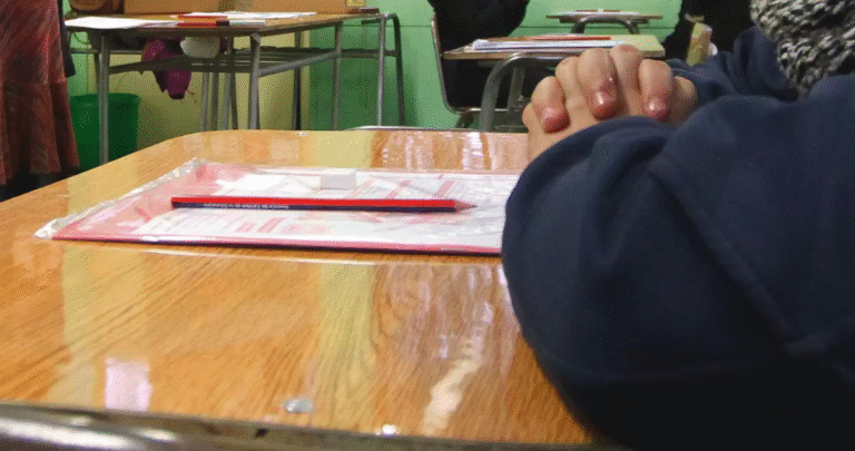 Paulina Araneda frente al Simce “No estamos frente a una crisis”